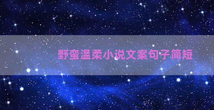 野蛮温柔小说文案句子简短